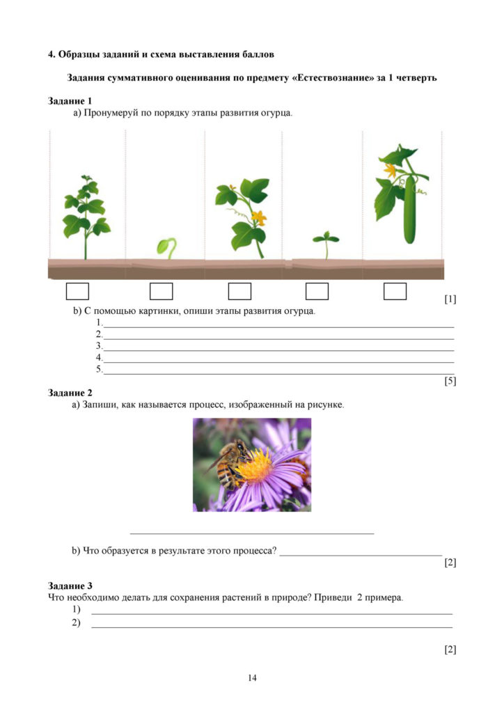 СО_Естествознание_4 класс.docx(13)