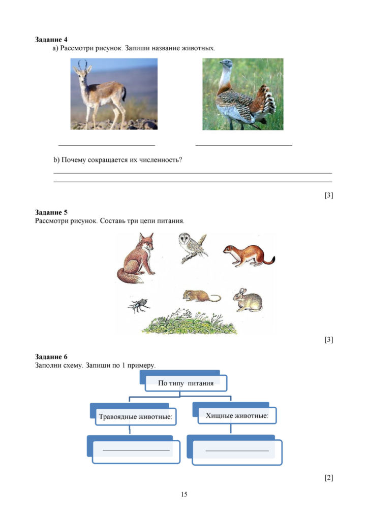 СО_Естествознание_4 класс.docx(14)