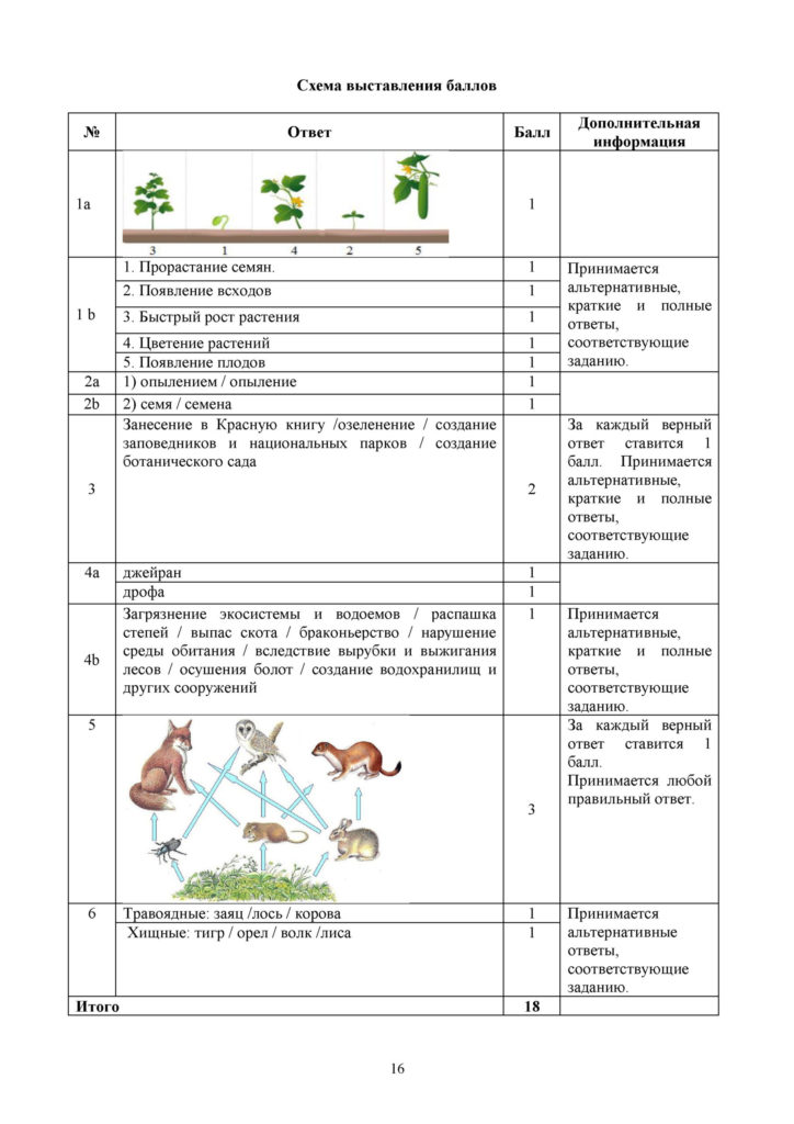 СО_Естествознание_4 класс.docx(15)
