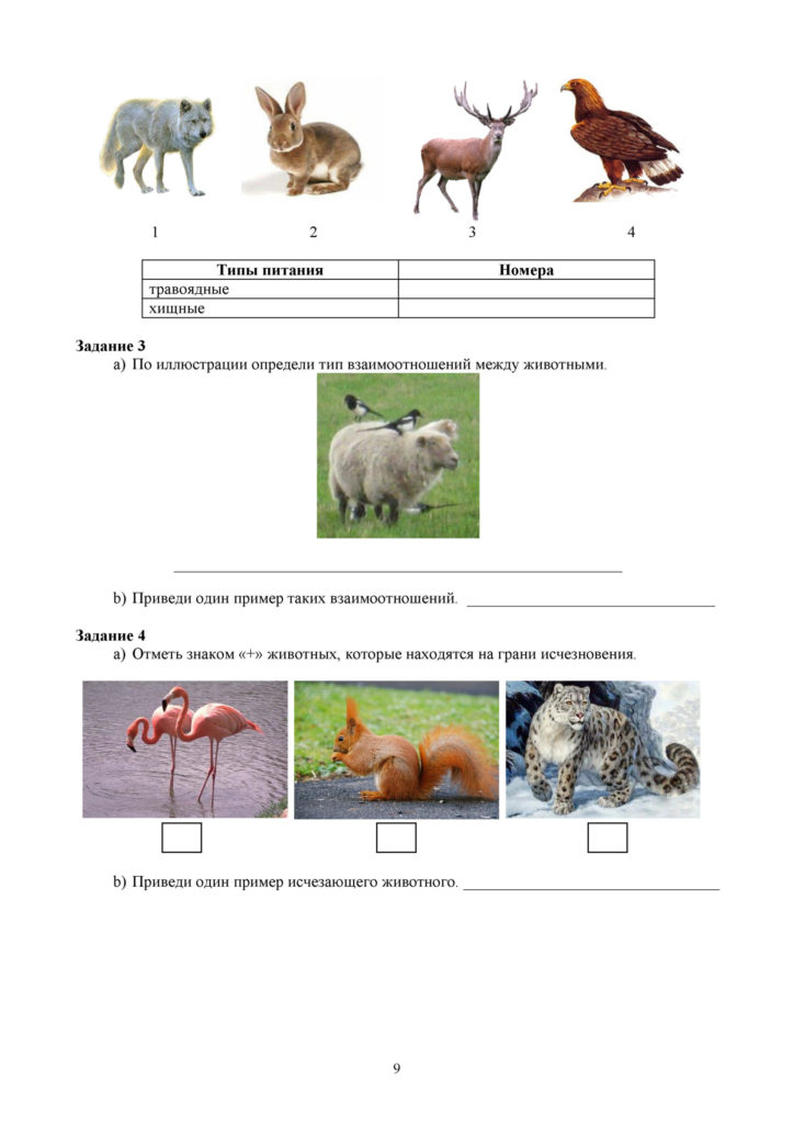 СО_Естествознание_4 класс.docx(8)