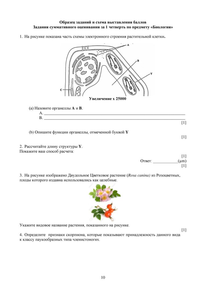 SOCh_Biologia_9klass_vk_com_sor_soch-page-010