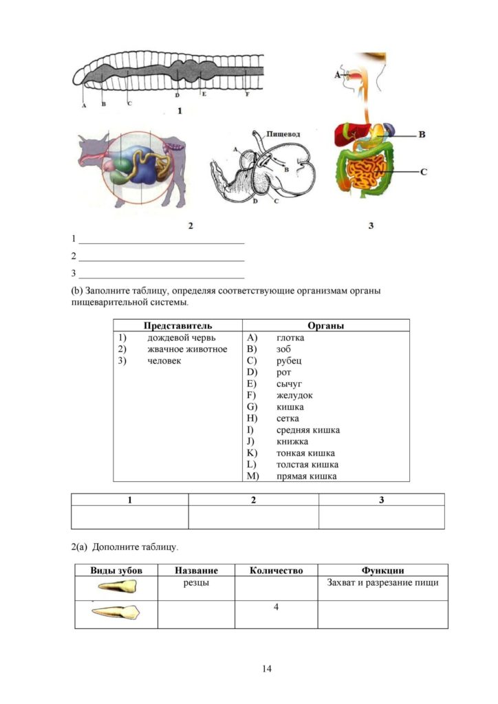 SOR_Biologia_8kl_rus-page-014