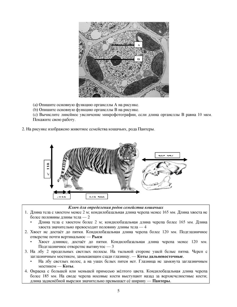 SOR_Biologia_9klass_vk_com_sor_soch-page-005