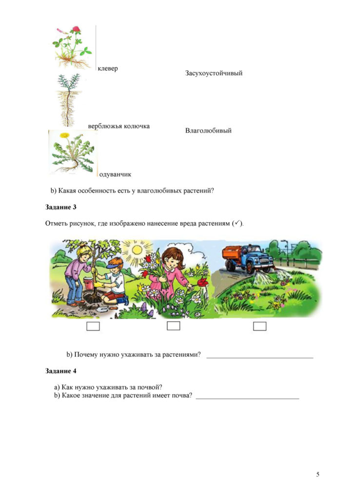 СОР_Естествознание_2 кл__ОШ_1-4 четверть(4)