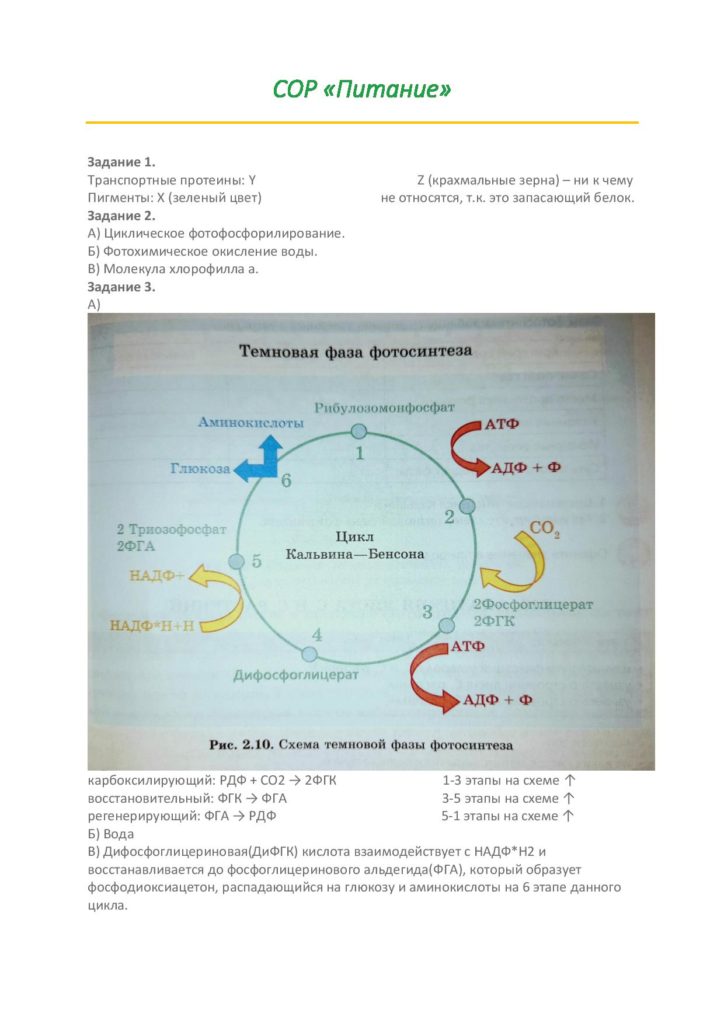 biologia_2-page-001