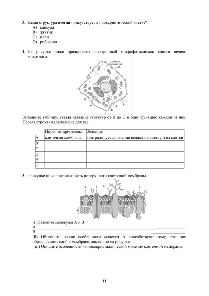 OSh_SOR_Biologia_EMN_10_klass_rus_docx_2-page-011
