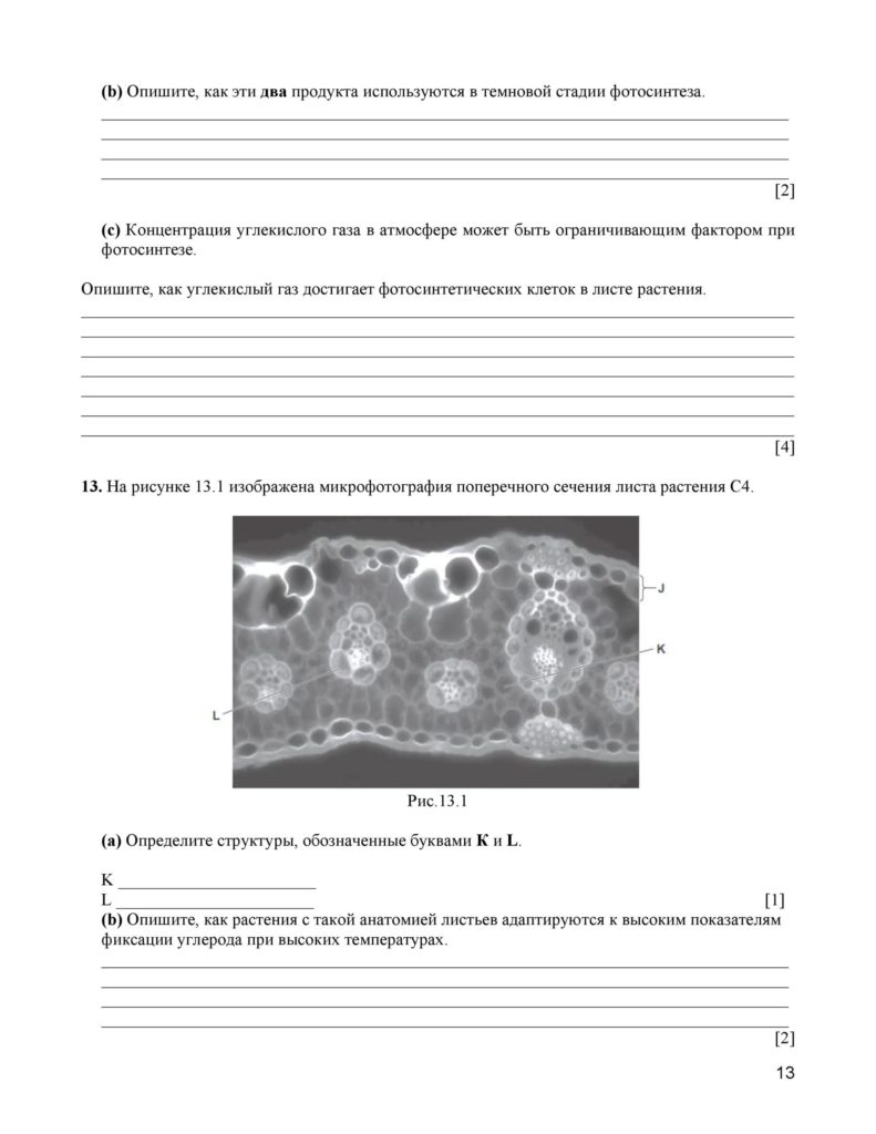 SOCh_Biologia_11_EMN_rus-page-013