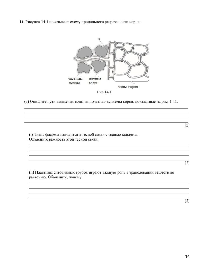 SOCh_Biologia_11_EMN_rus-page-014