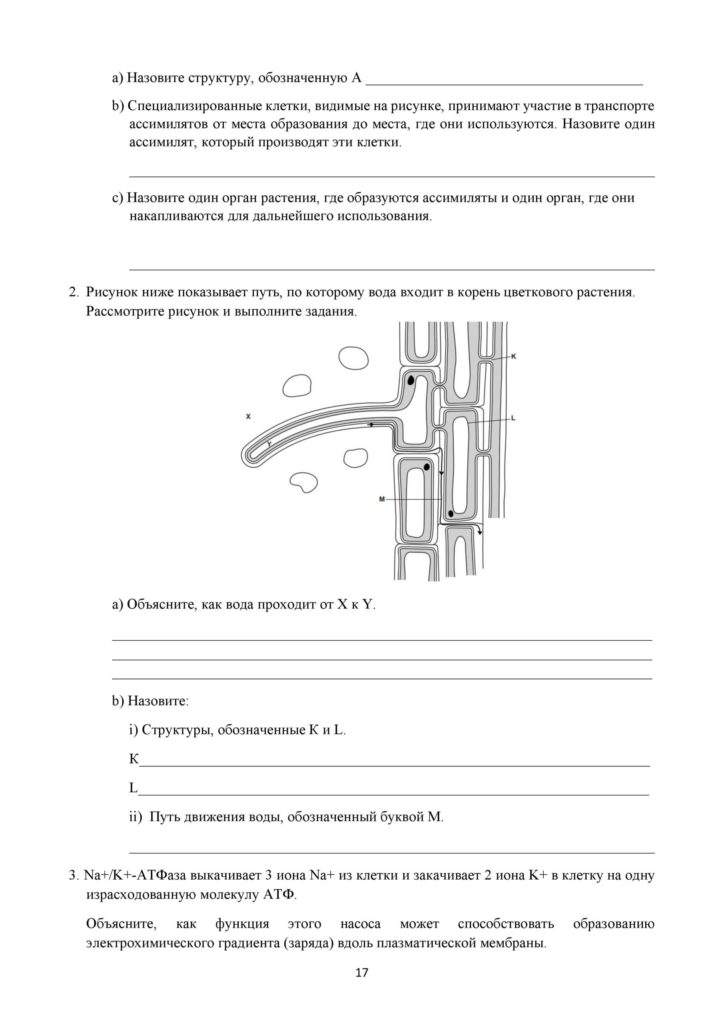 SOR_Biologia_11_EMN_rus-page-017
