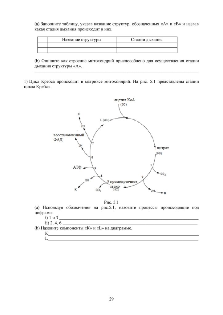 OSh_SOR_Biologia_EMN_10_klass_rus_docx_2-page-029