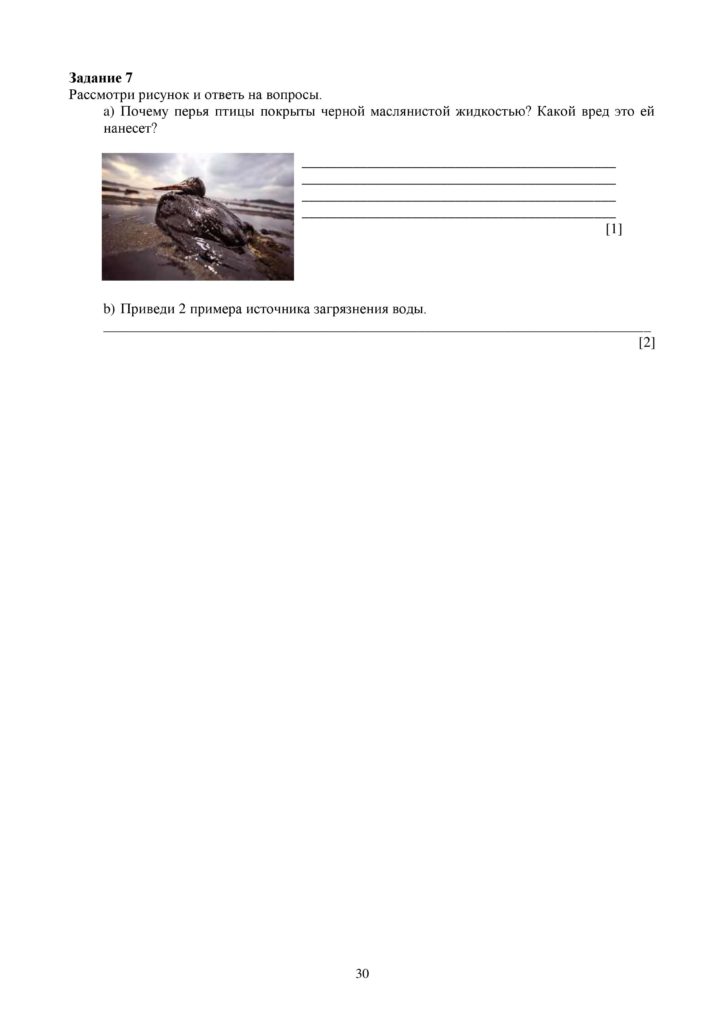 SO_Estestvoznanie_4_klass_docx-page-030