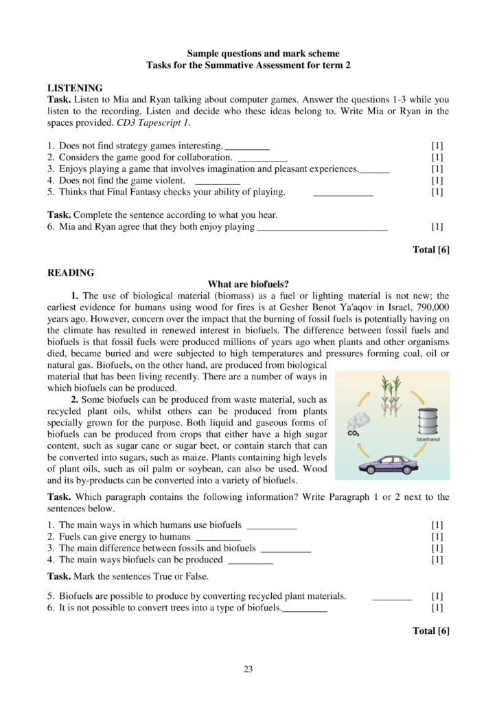 SOCh_Angliyskiy_yazyk_EMN_10_klass-page-023