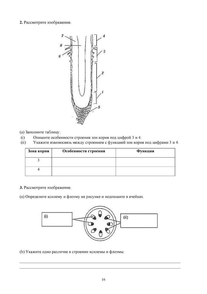 SOR_Biologia_7kl_rus-page-016