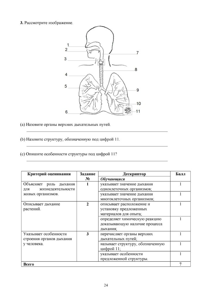 SOR_Biologia_7kl_rus-page-024