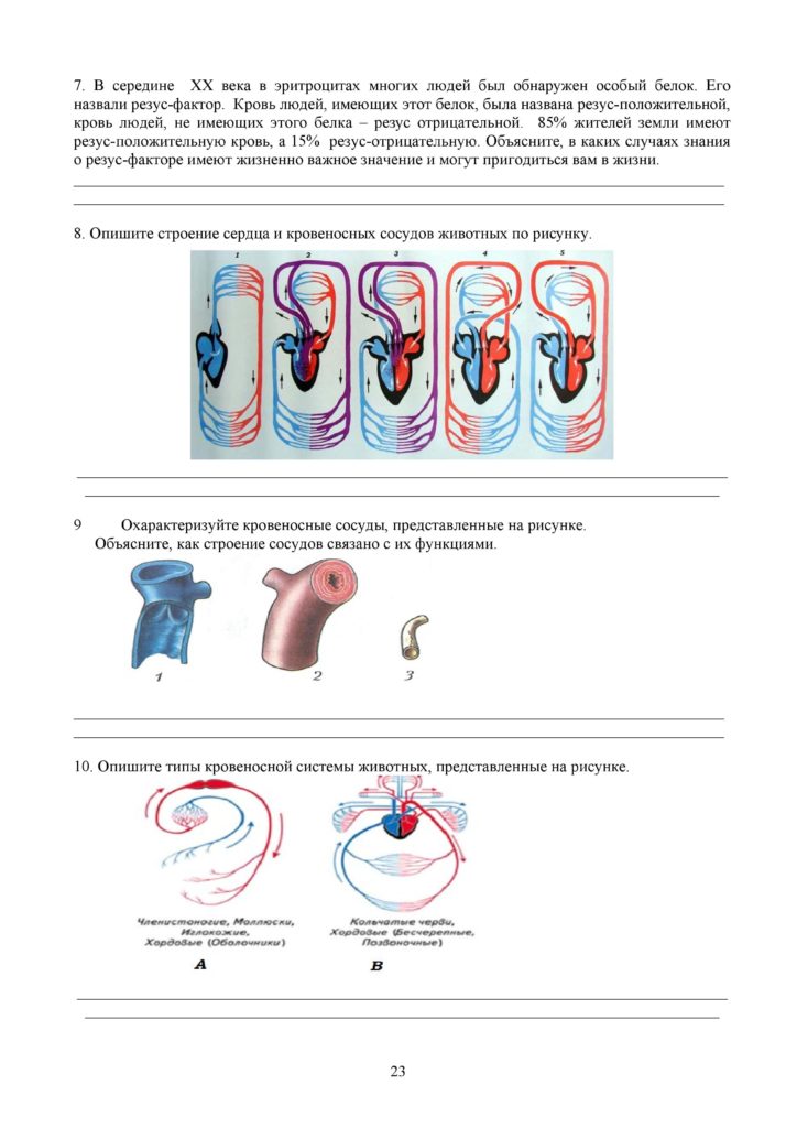SOR_Biologia_8kl_rus-page-023