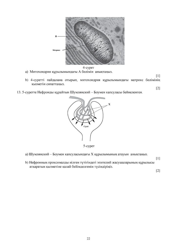 ОШ_СОЧ_Биология_ЕМН_10 класс_каз-page-022