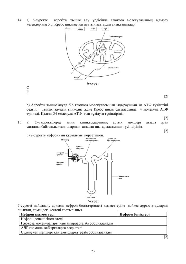ОШ_СОЧ_Биология_ЕМН_10 класс_каз-page-023