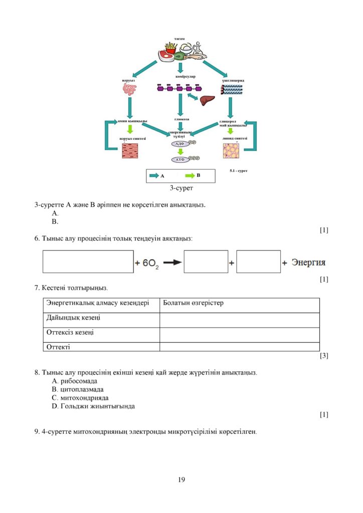 ОШ_СОЧ_Биология_ОГН_10 класс_каз-page-019