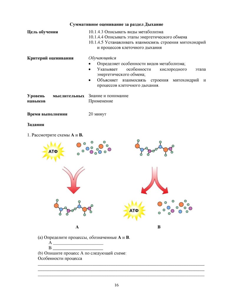 OSh_SOR_Biologia_OGN_10_klass_rus-page-016