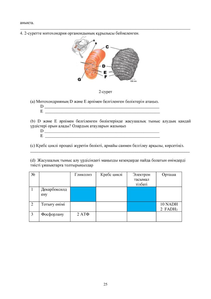 ОШ_СОР_Биология_ЕМН_10 класс_каз-page-025