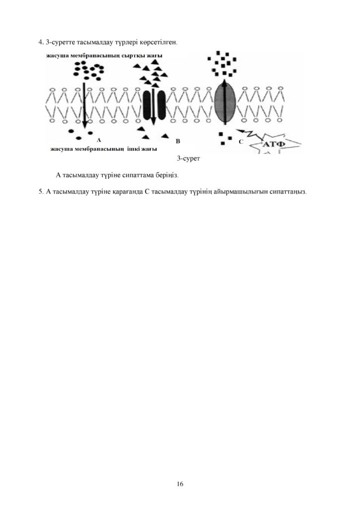 ОШ_СОР_Биология_ОГН_10 класс_каз-page-016