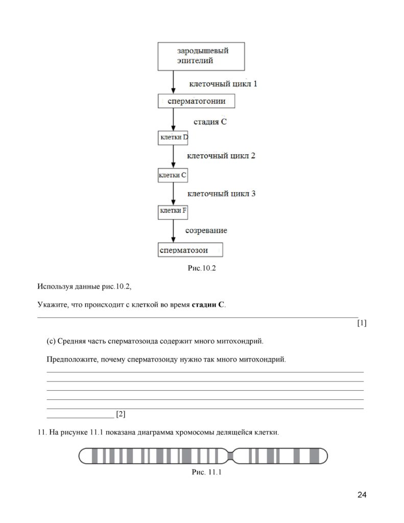 SOCh_Biologia_11_EMN_rus-page-024