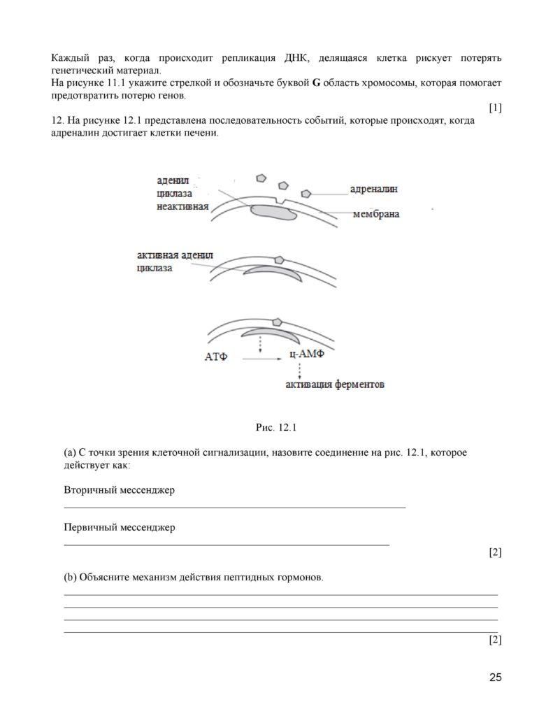 SOCh_Biologia_11_EMN_rus-page-025