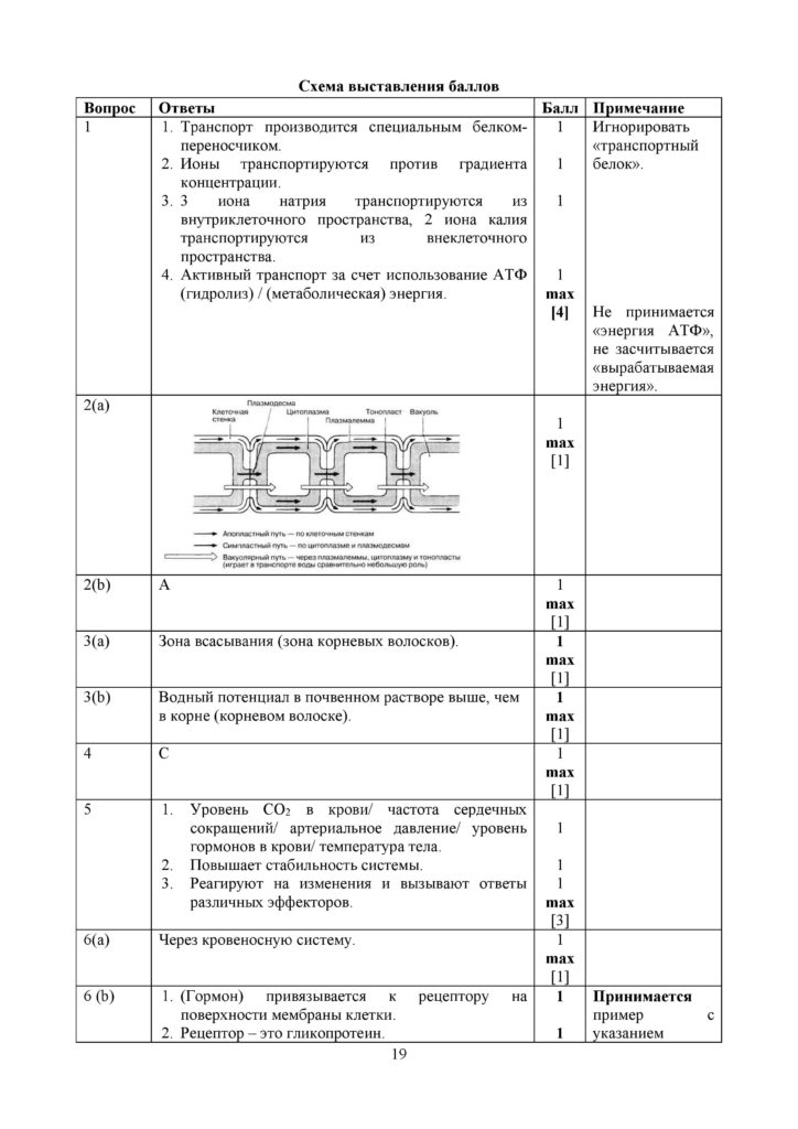 SOCh_Biologia_11_OGN_rus-page-019
