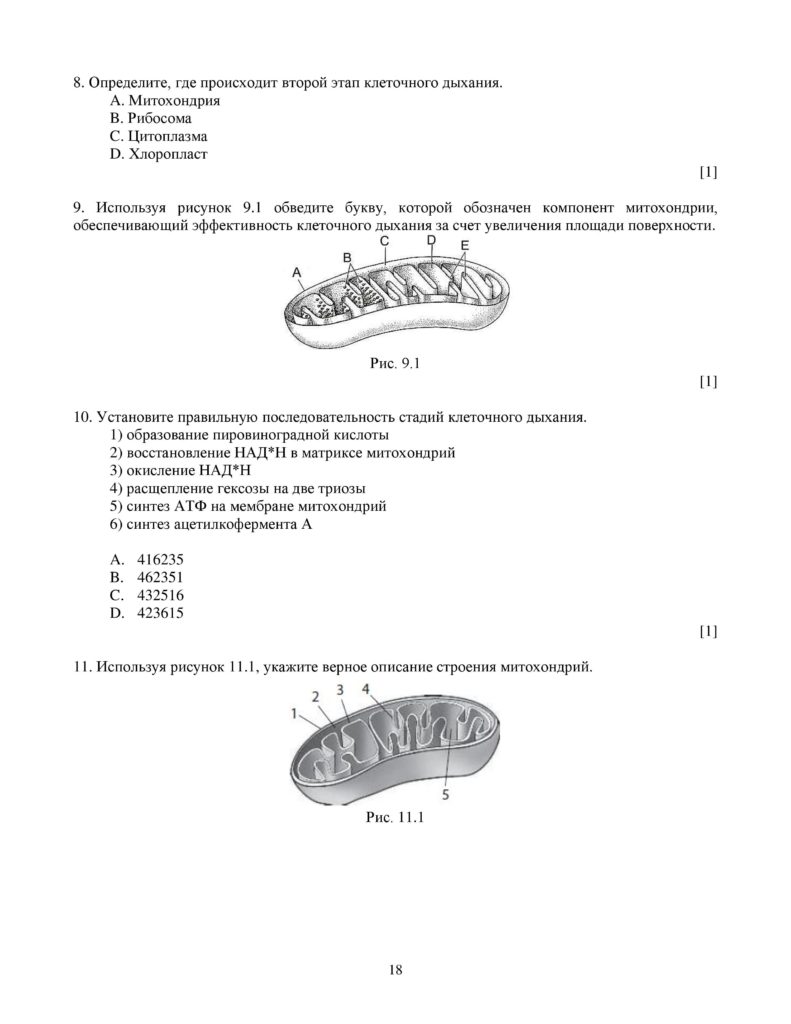 SOCh_Biologia_OGN_10_klass_rus-page-018