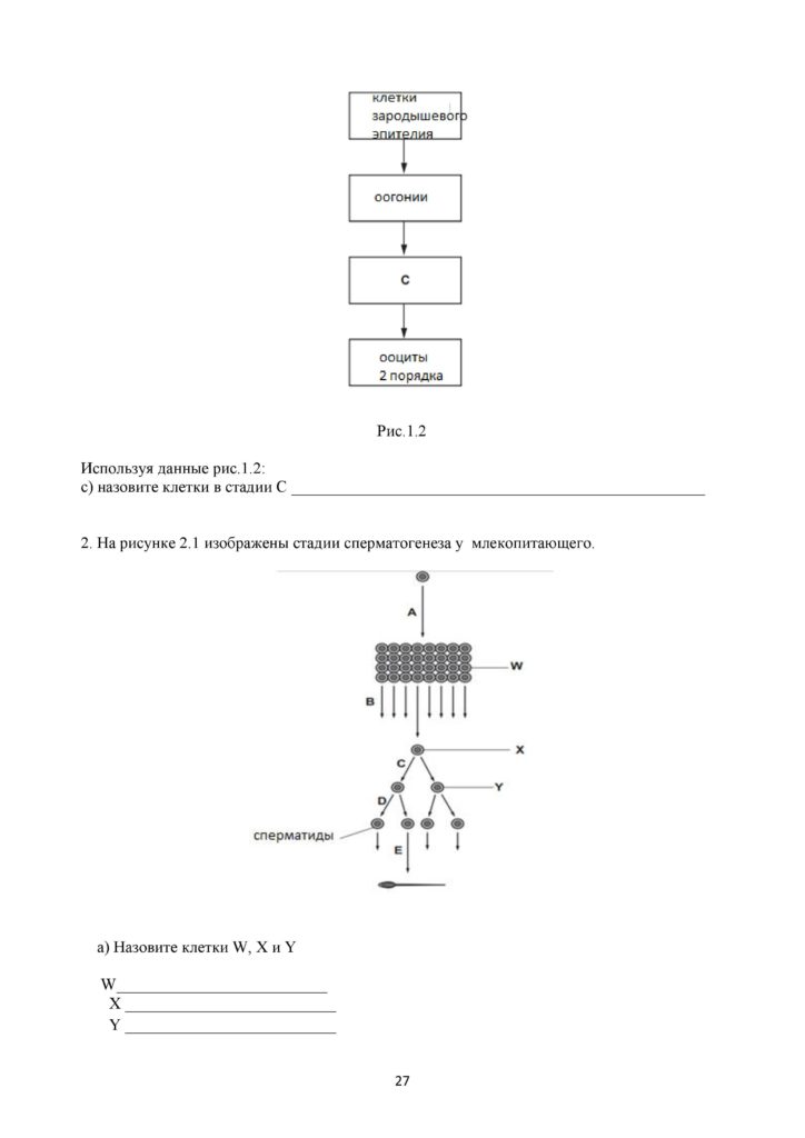 SOR_Biologia_11_EMN_rus-page-027