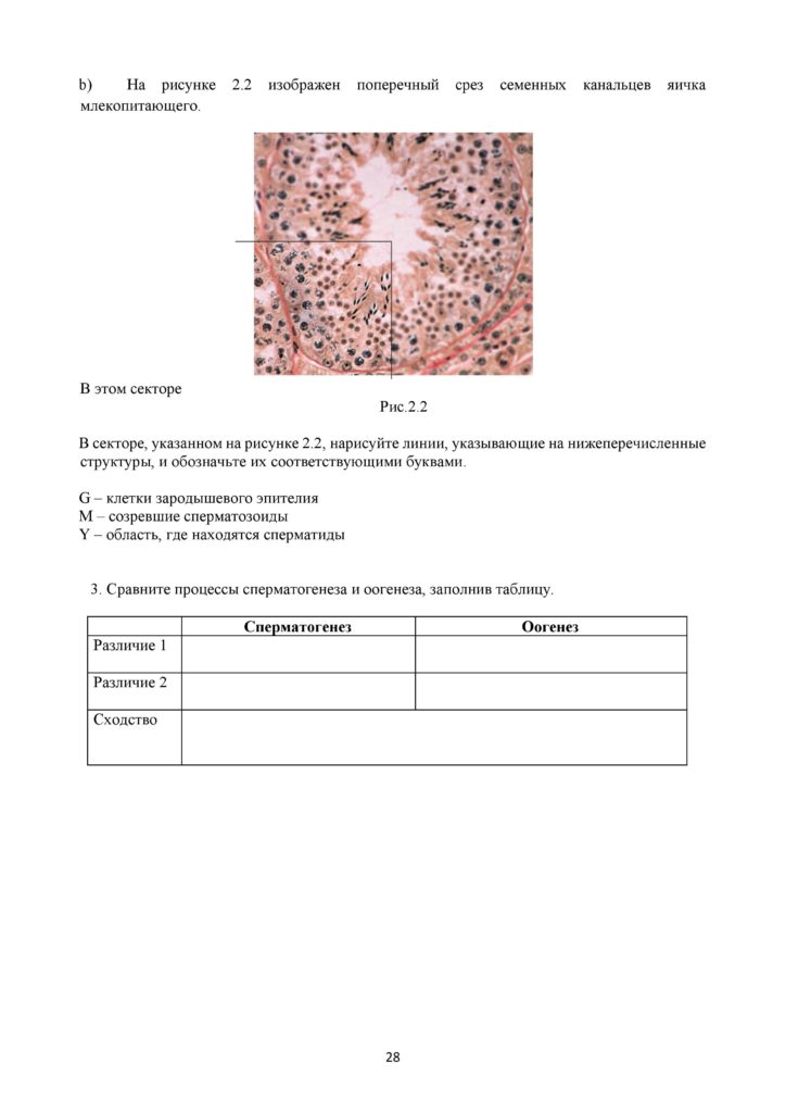SOR_Biologia_11_EMN_rus-page-028