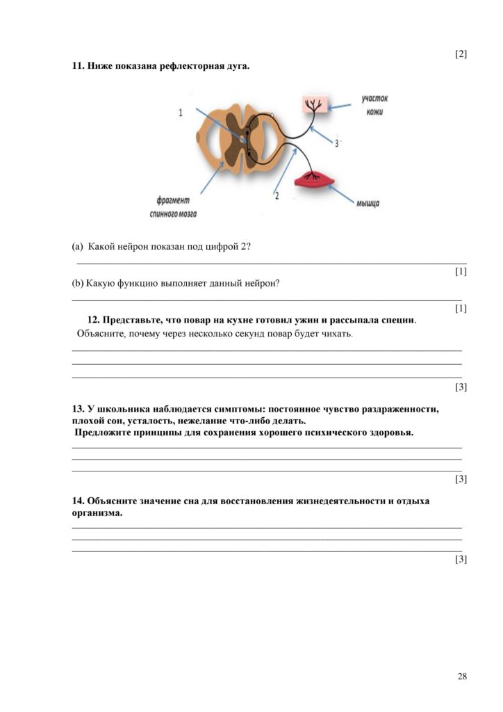 SOCh_Biologia_7kl_rus_V2-page-028