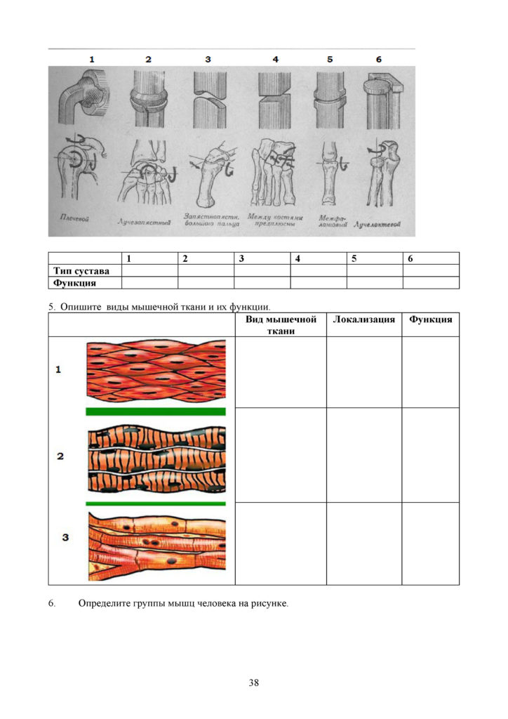 SOR_Biologia_8kl_rus(37)