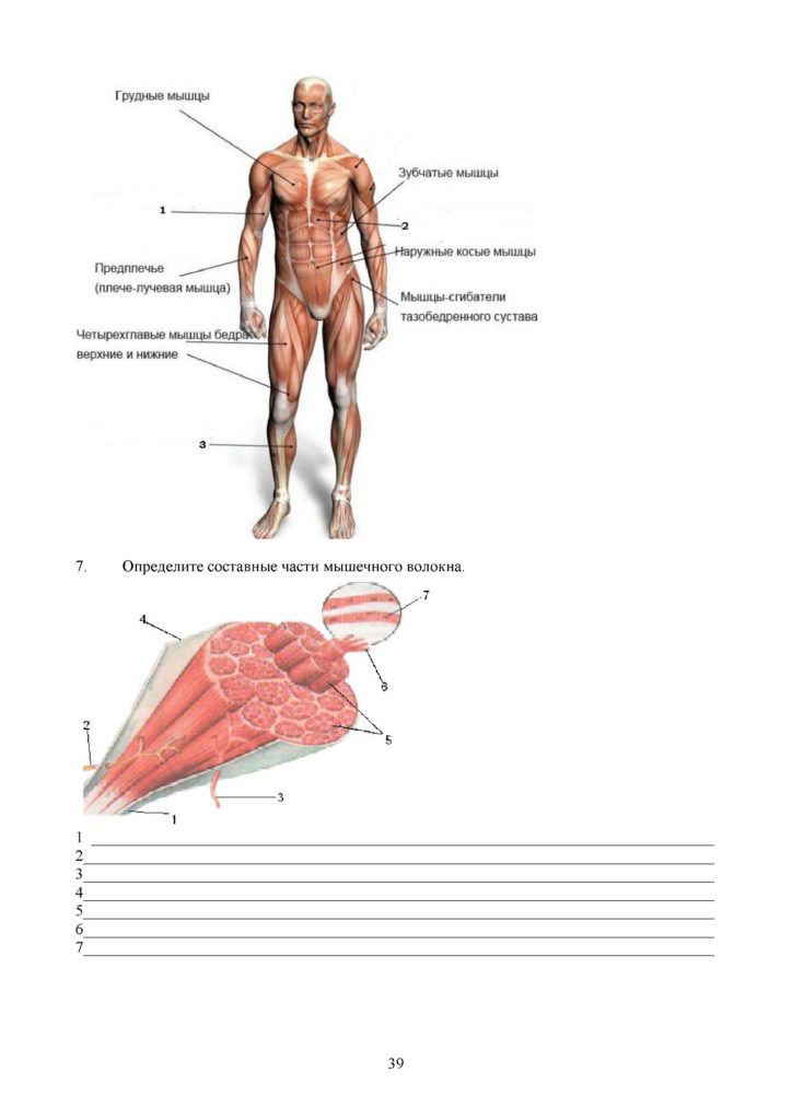 SOR_Biologia_8kl_rus(38)