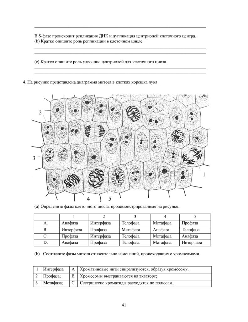 SOR_Biologia_9_klass_rus-page-041