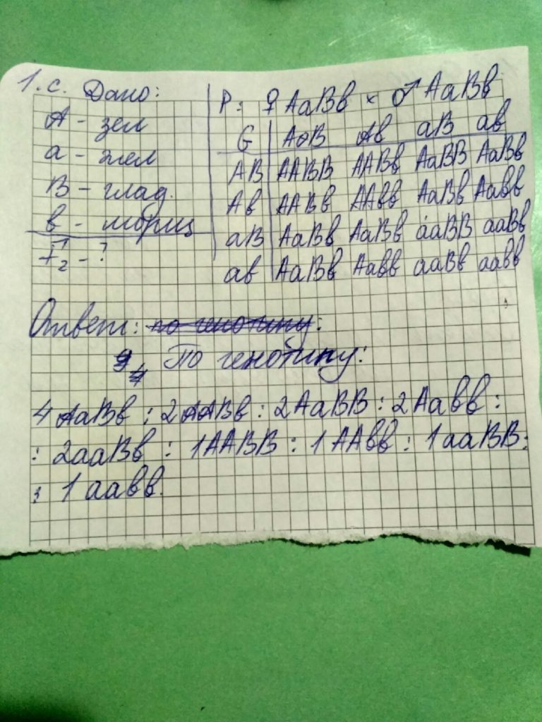 V57M1pUGMXs