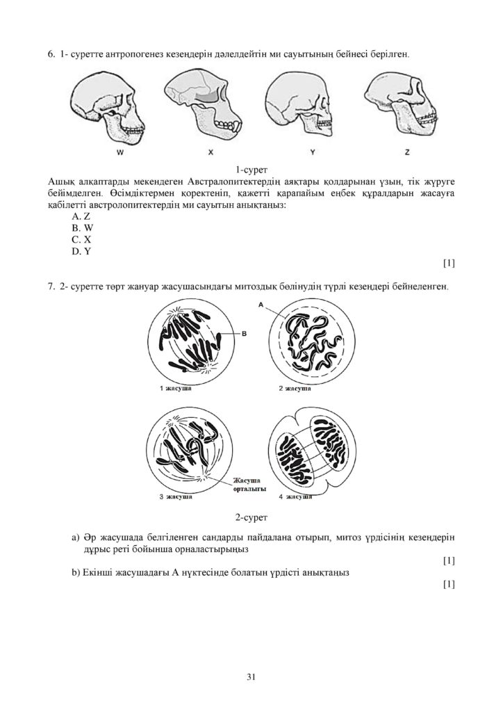 ОШ_СОЧ_Биология_ЕМН_10 класс_каз-page-031