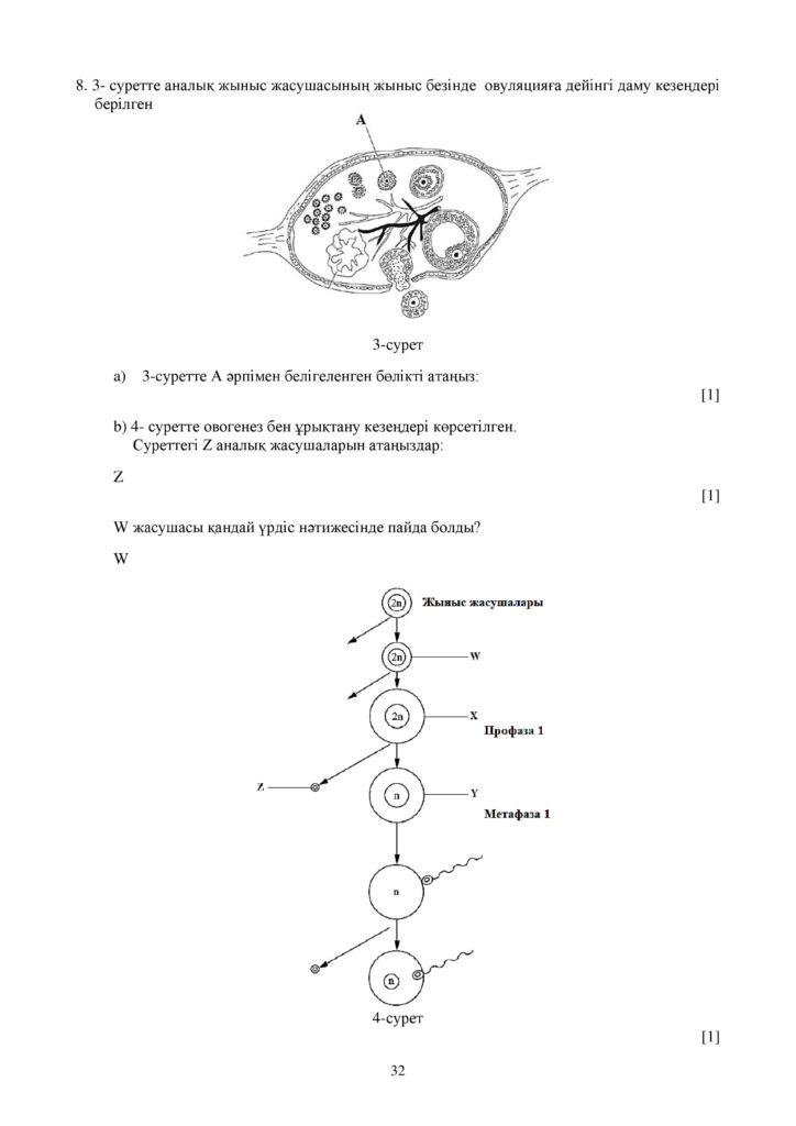 ОШ_СОЧ_Биология_ЕМН_10 класс_каз-page-032