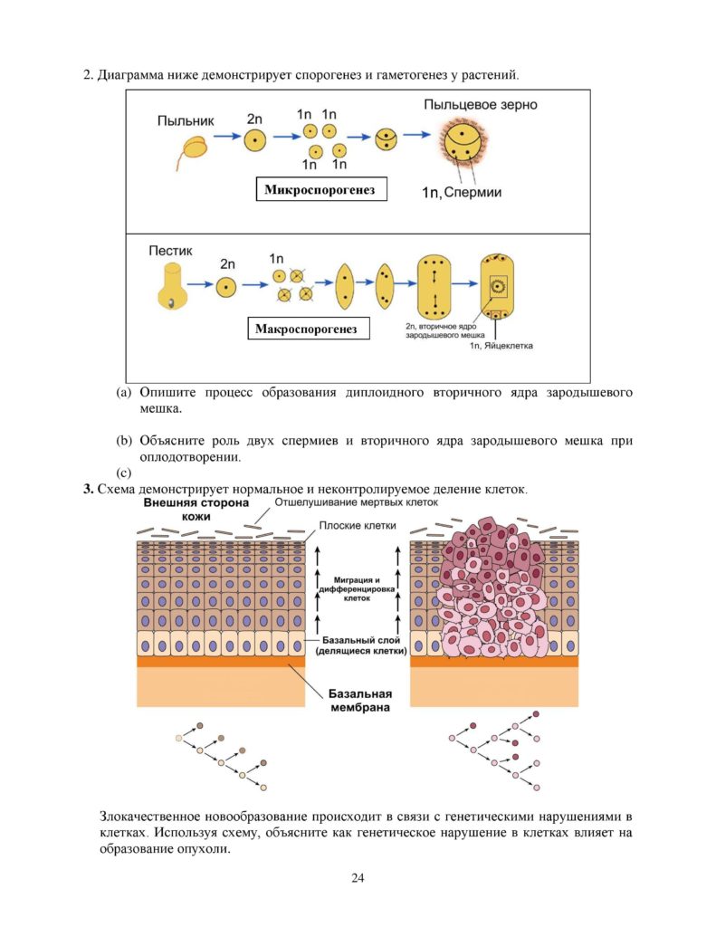 OSh_SOR_Biologia_OGN_10_klass_rus-page-024