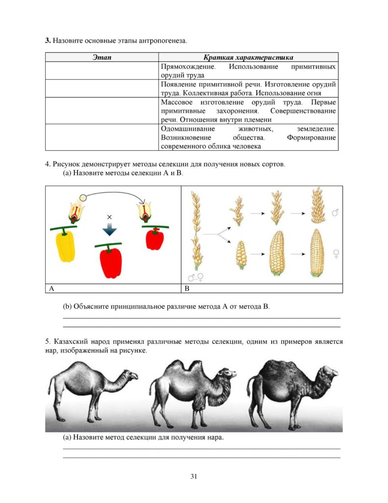 OSh_SOR_Biologia_OGN_10_klass_rus-page-031
