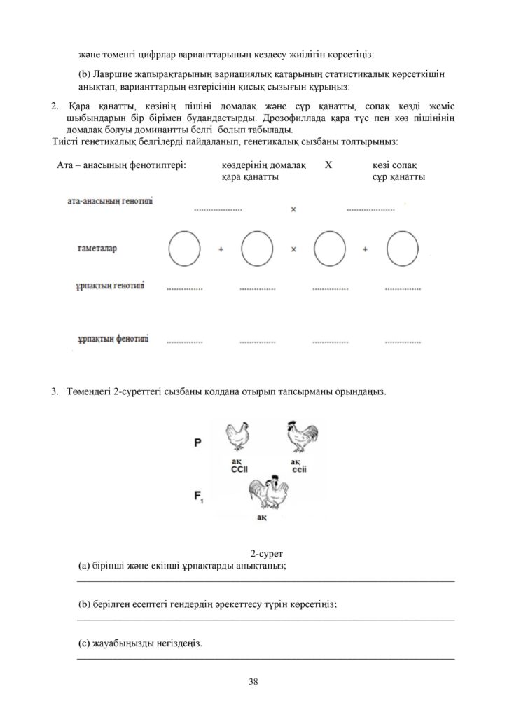 ОШ_СОР_Биология_ЕМН_10 класс_каз-page-038