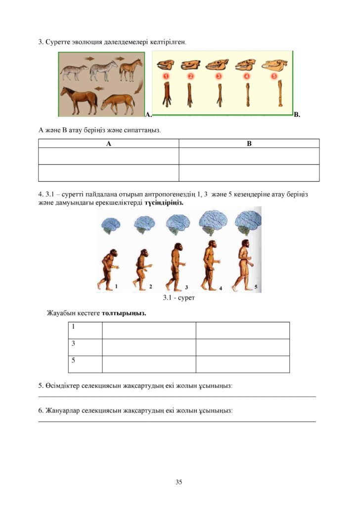 ОШ_СОР_Биология_ОГН_10 класс_каз-page-035