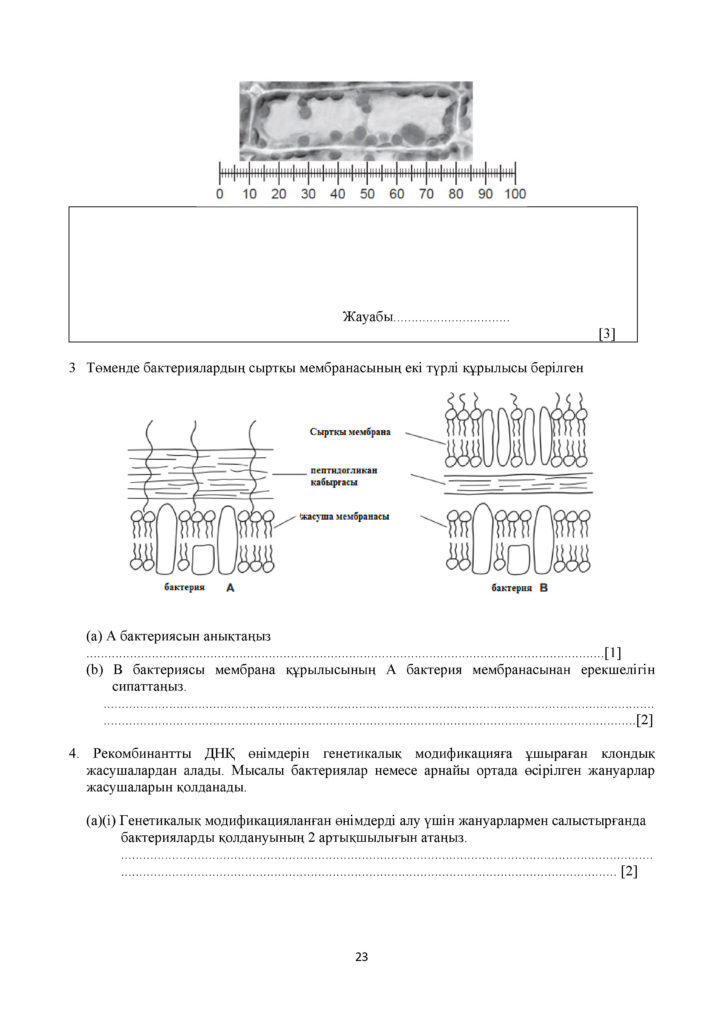 ОШ_ТС_СОЧ_Биология_11_ЕМН_каз(22)