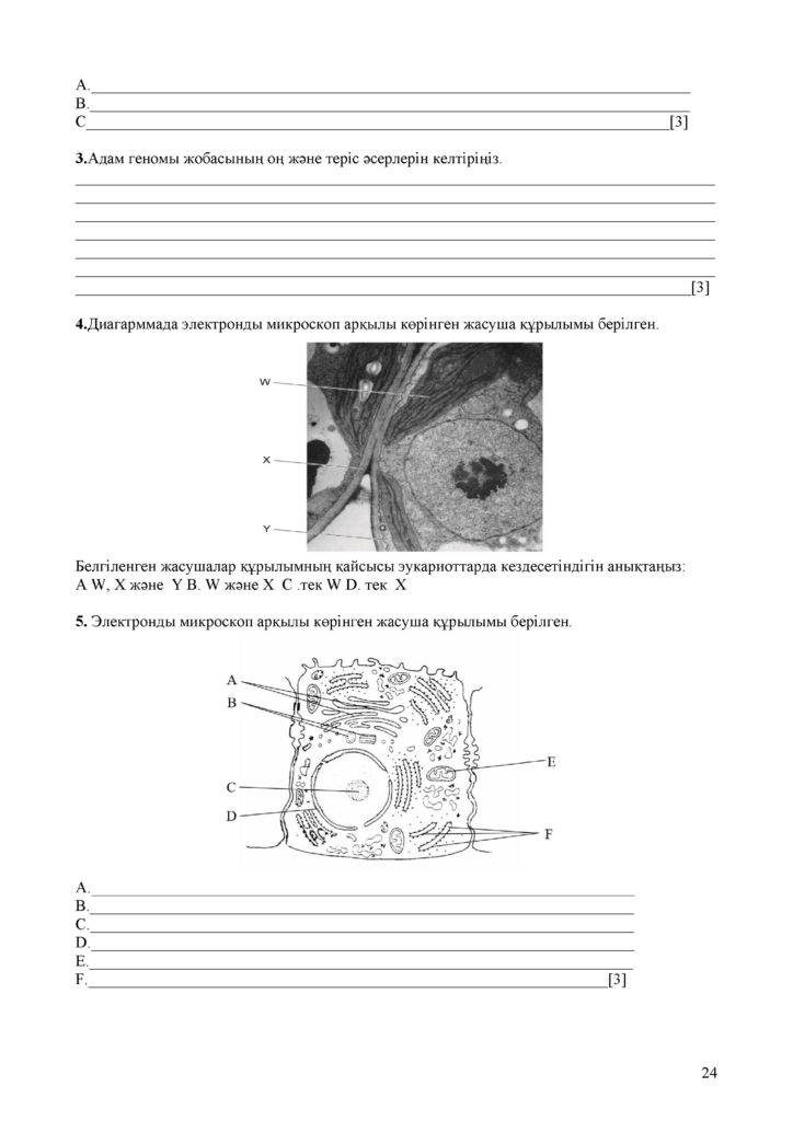 ОШ_ТС_СОЧ_Биология_11_ОГН_каз(23)