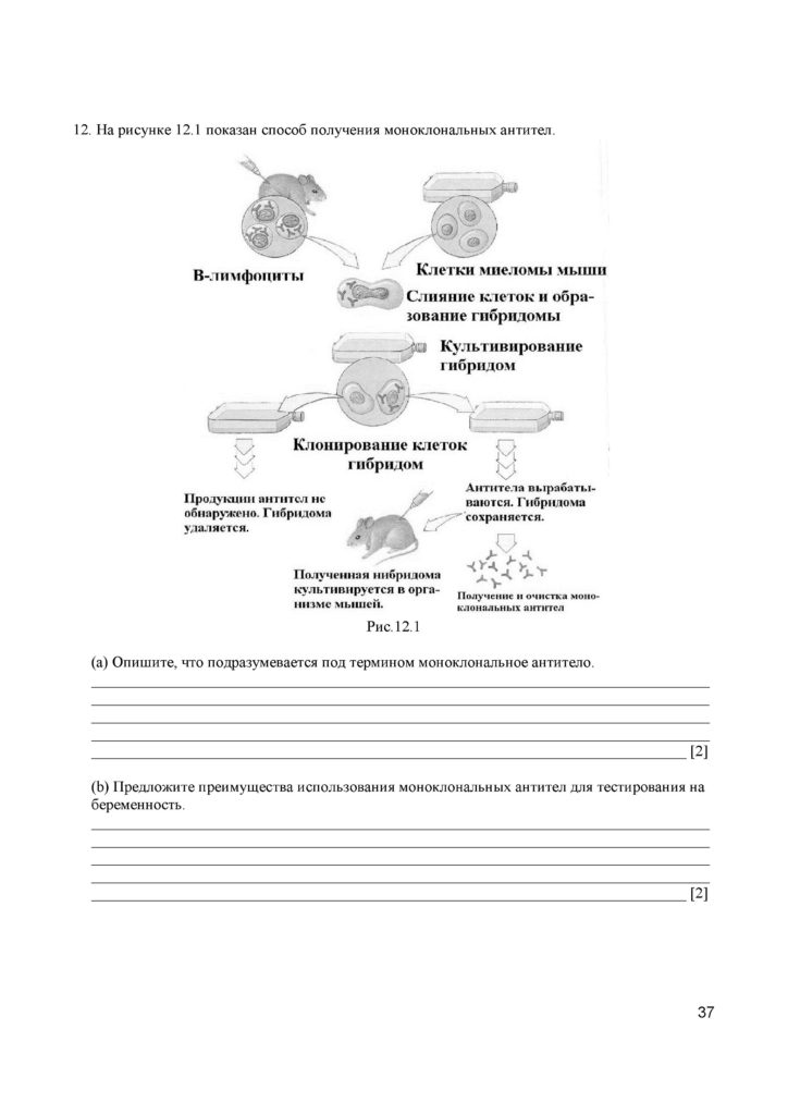 SOCh_Biologia_11_EMN_rus(36)