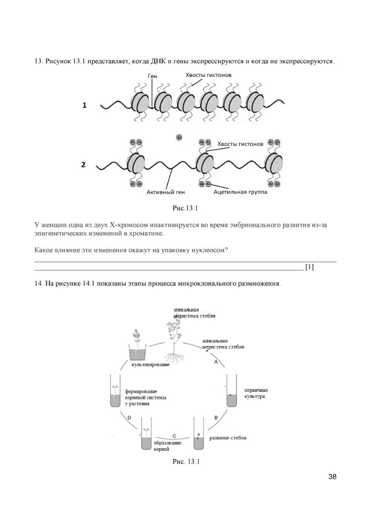 SOCh_Biologia_11_EMN_rus(37)