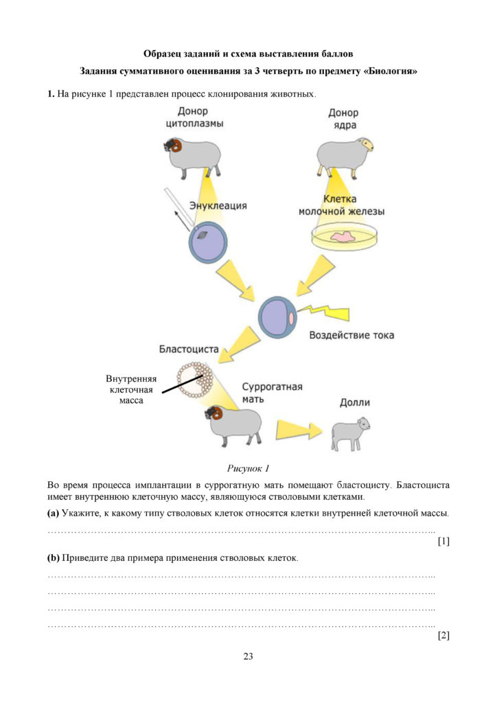 SOCh_Biologia_11_OGN_rus(22)