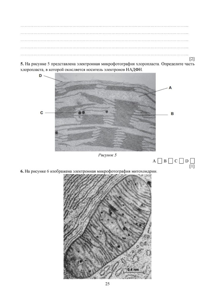 SOCh_Biologia_11_OGN_rus(24)