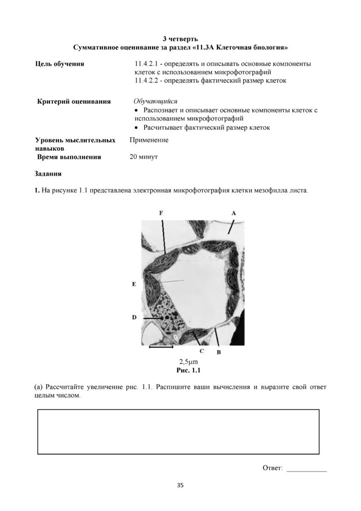 SOR_Biologia_11_EMN_rus(34)