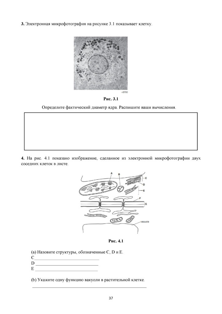 SOR_Biologia_11_EMN_rus(36)